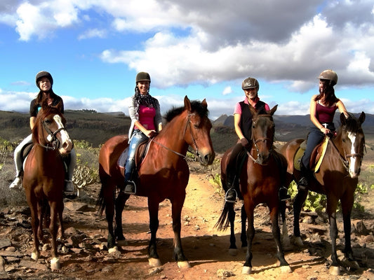 Horse Riding Online Booking