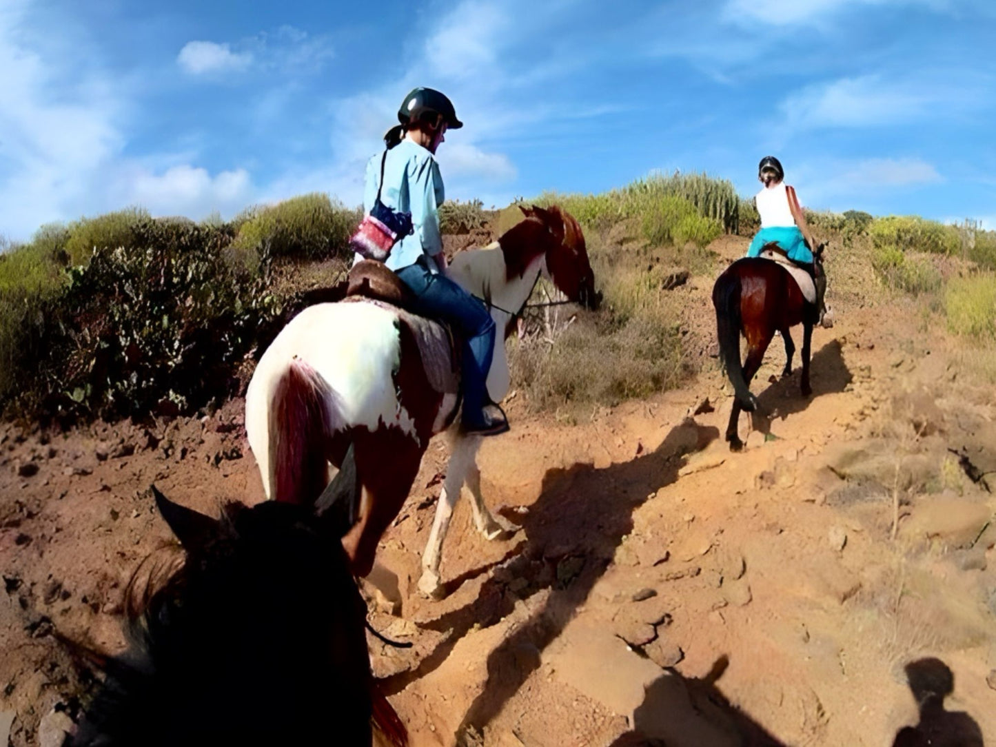 Horse Riding Online Booking