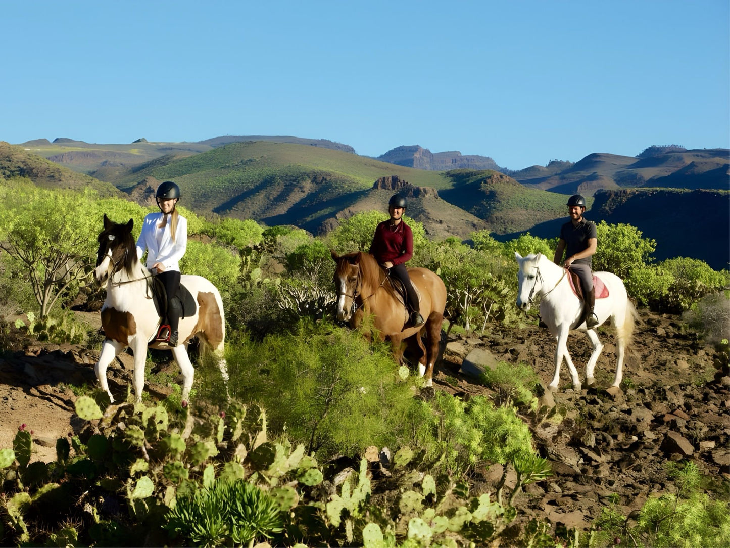Horse Riding Online Booking