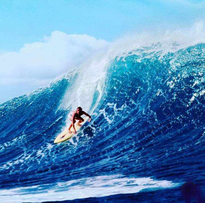 Surf School Online Booking