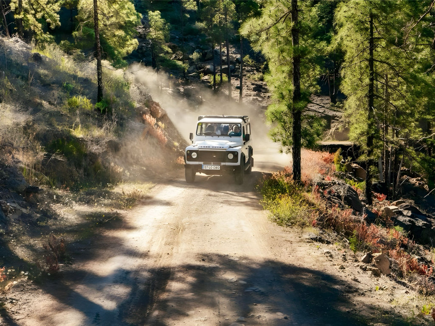 Jeep Safari Online Booking