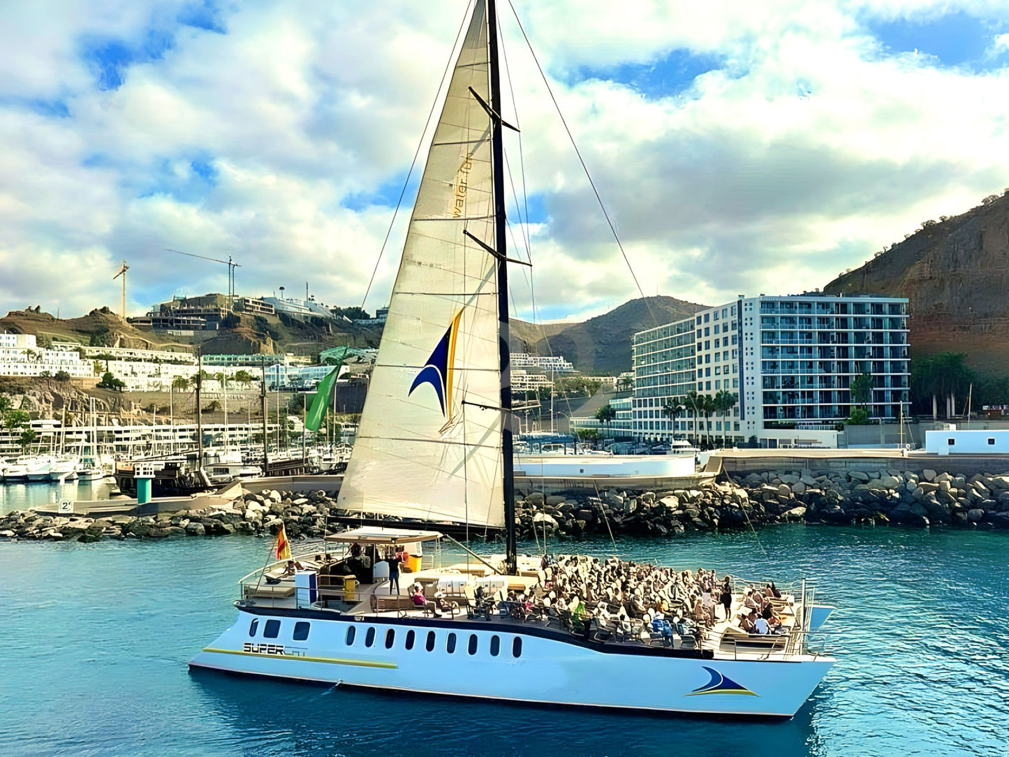 Supercat Tour & Dolphin Trips Online Booking