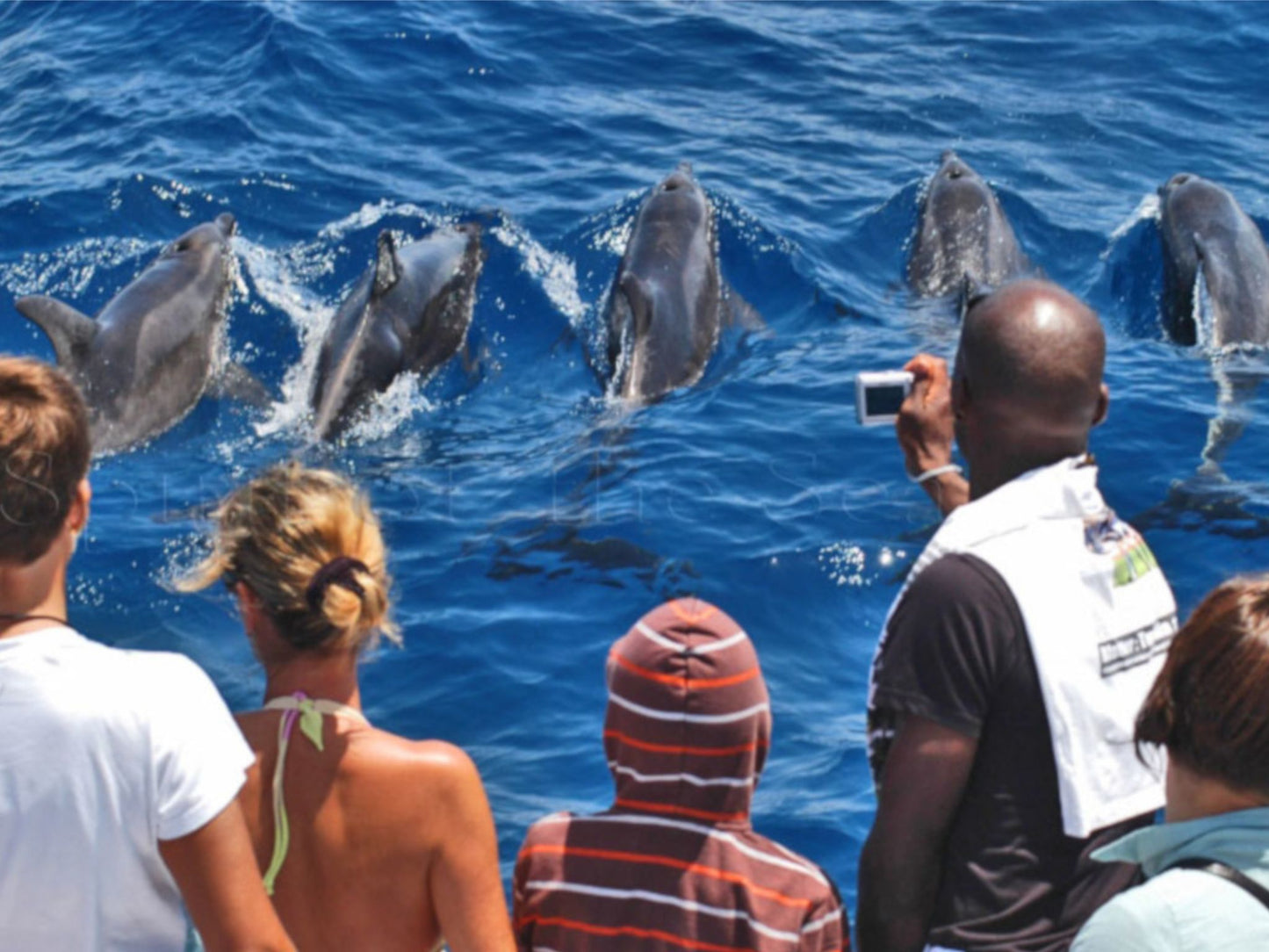 Glass Bottom Boat Online Booking