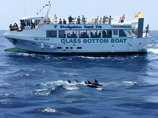 Glass Bottom Boat Online Booking