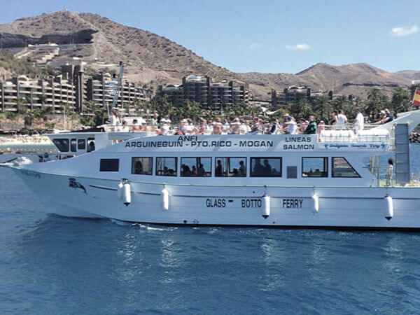 Puerto de Mogán Boat Tour