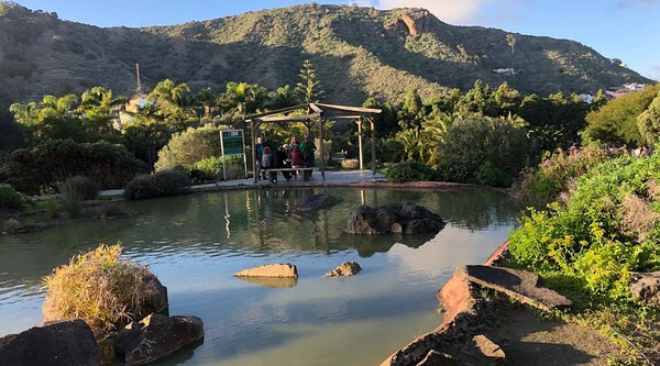 Jardín Botánico Canario