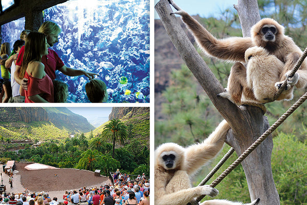 Palmitos Park Day Trip