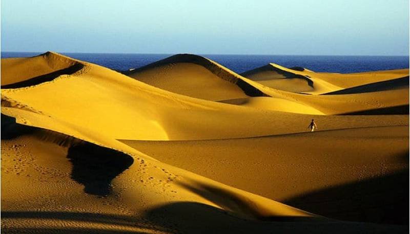 Maspalomas Dunes