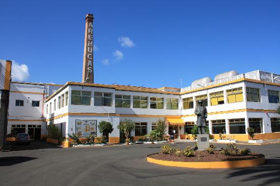 Arucas Rum Distillery Tour